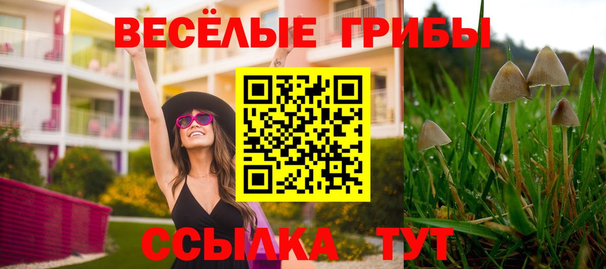 Псилоцибиновые грибы Magic Shrooms  закладки  Вход с VPN  Кузнецк  Галлюциногенные грибы Cubensis 