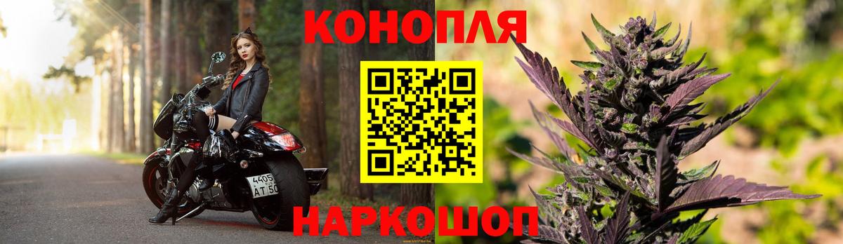 Шишки марихуана планчик Кузнецк
